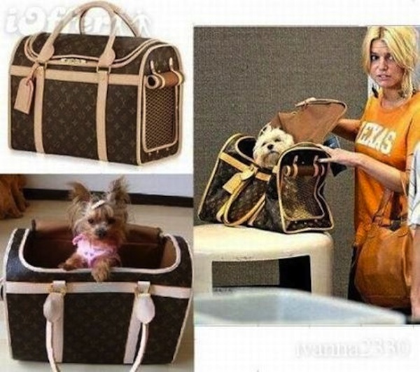 LV dog carrier  Bolsos para perros pequeños, Bolso para perro, Moda para  perros