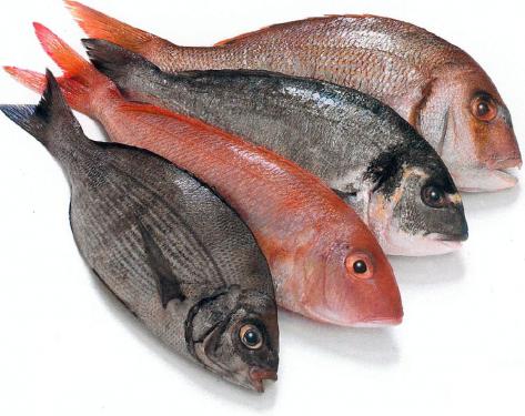 Trucos de cocina en los pescados