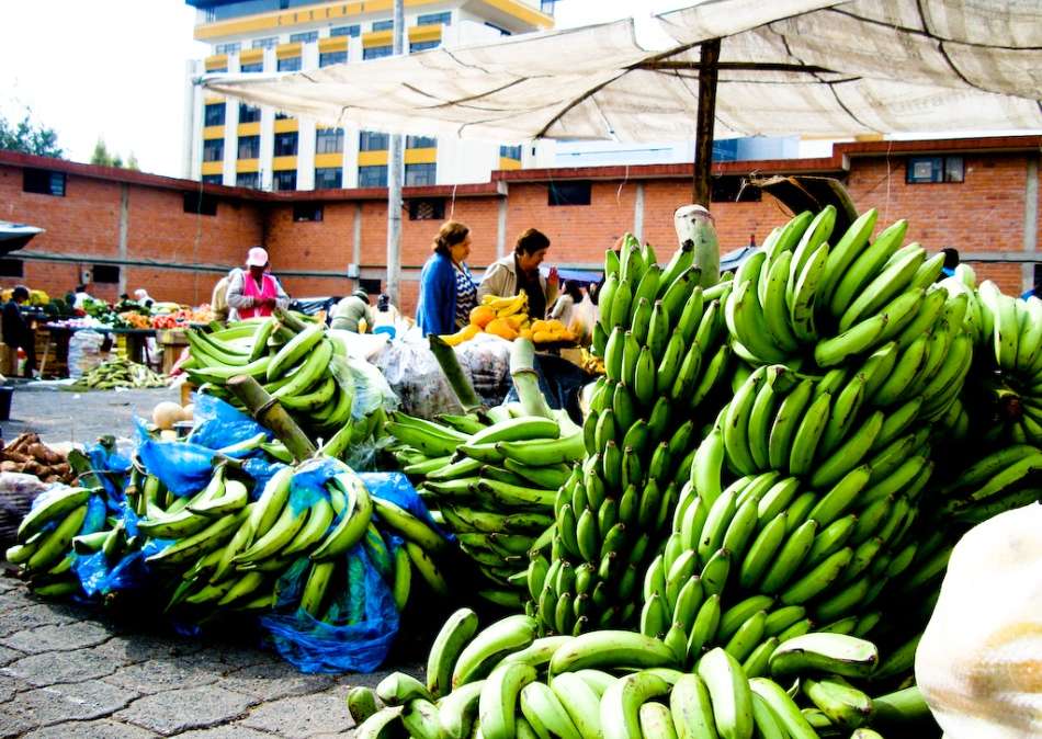 Ecuador se promociona con códigos QR en sus plátanos