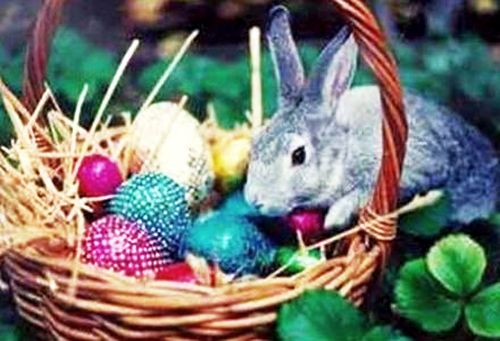 Los huevos y conejos Pascua, tradiciones de mundo - Republica.com