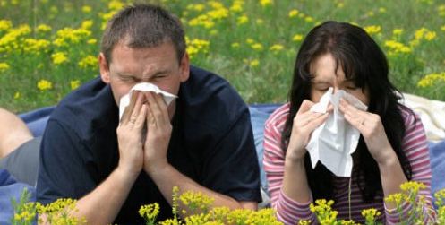 Los alérgicos se pueden enfrentar hasta finales de junio a grandes picos de polinización, según experto