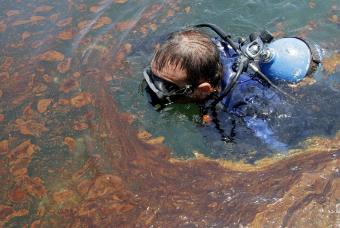 El vertido de petróleo en el Golfo de México ya ha obligado a BP a gastar 4.590 millones de euros
