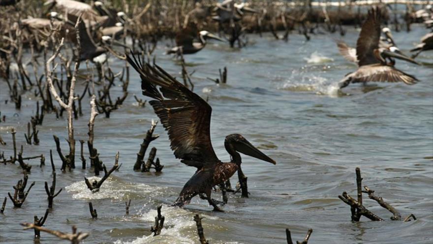 BP pagará la cifra récord de 18.571 millones de euros por el vertido de 2010 en México