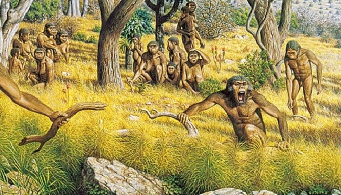 Unos 25.000 homínidos habitaban Europa occidental hace 500.000 años