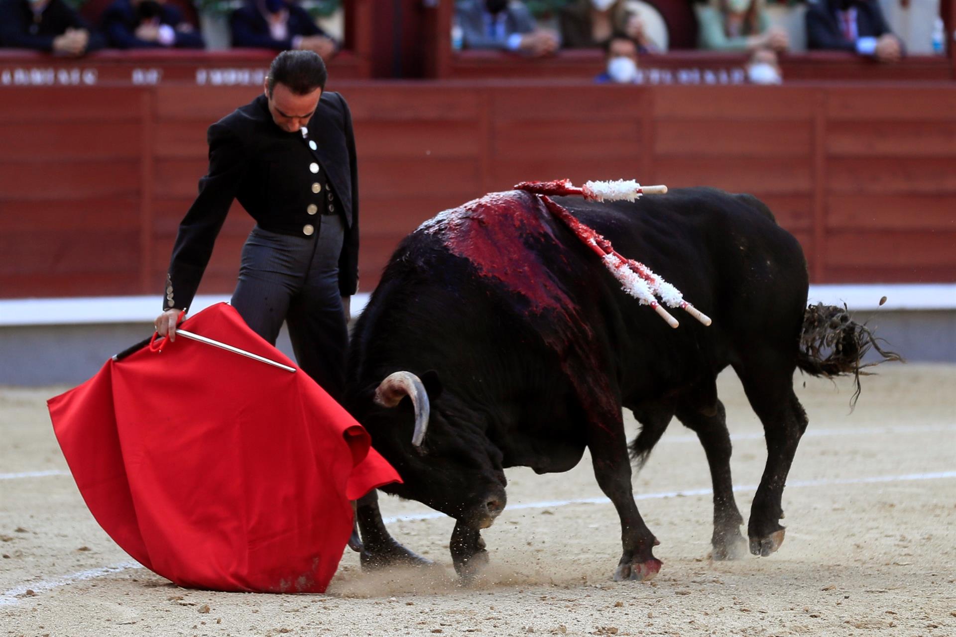 Enrique Ponce toreó en Las Ventas con una botonadura con la efigie de Franco