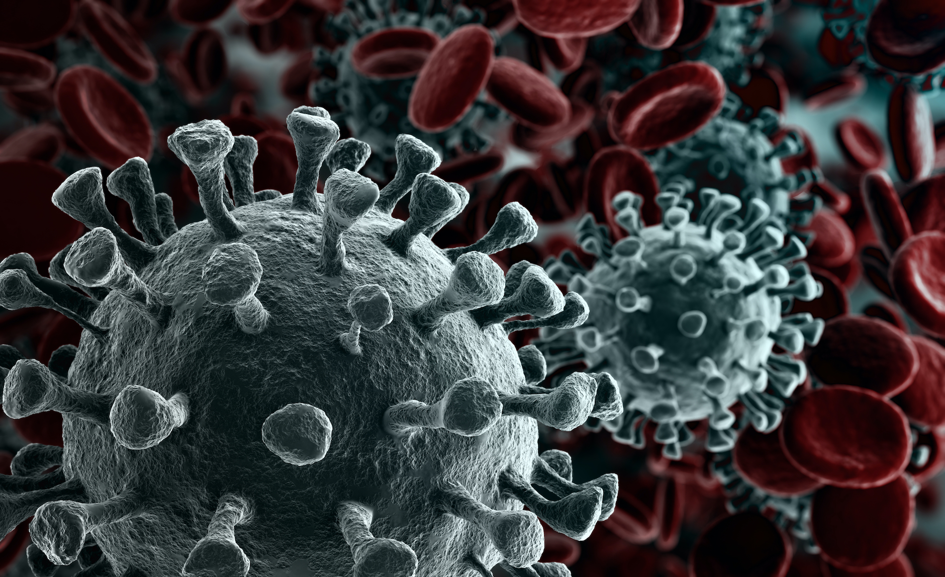 Científicos descubren más de 130.000 nuevos virus como el del COVID-19