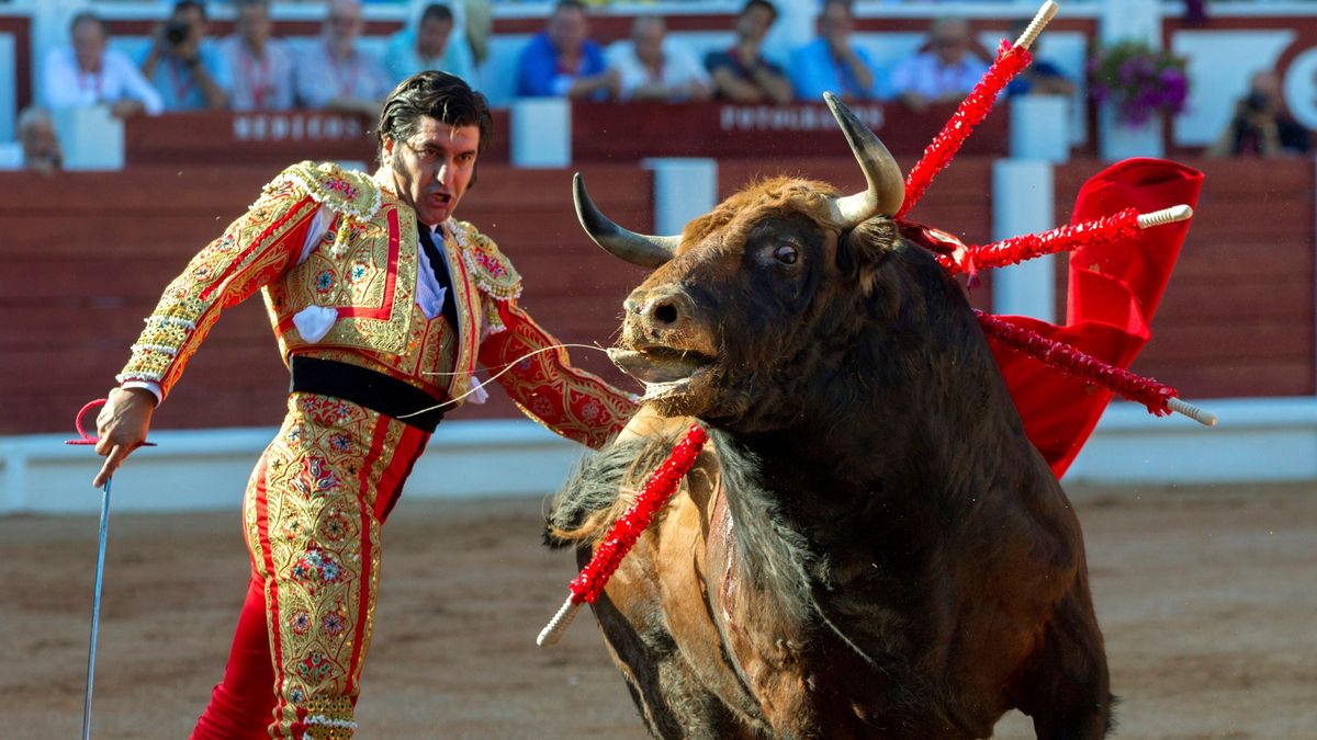Gijón pone fin a los toros tras lidiarse dos astados llamados 'Feminista' y 'Nigeriano'