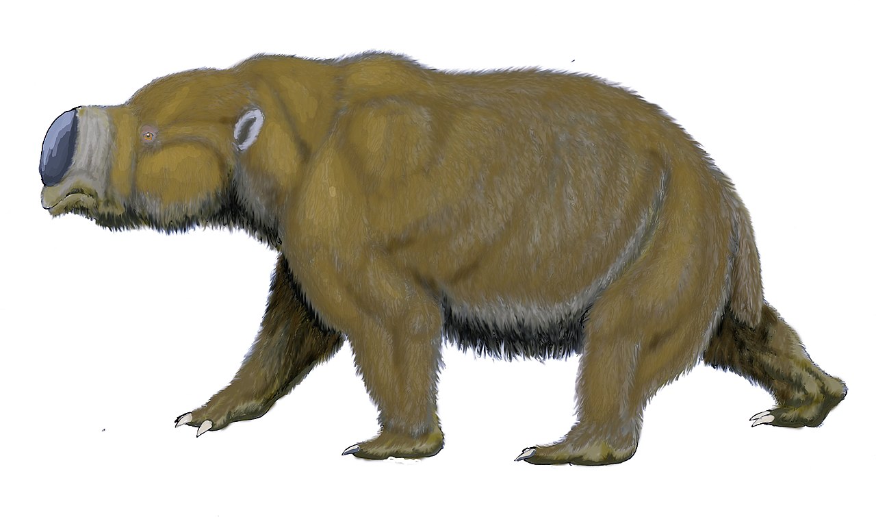 Diprotodonte, marsupial gigante de Australia extinto hace 46.000 años.