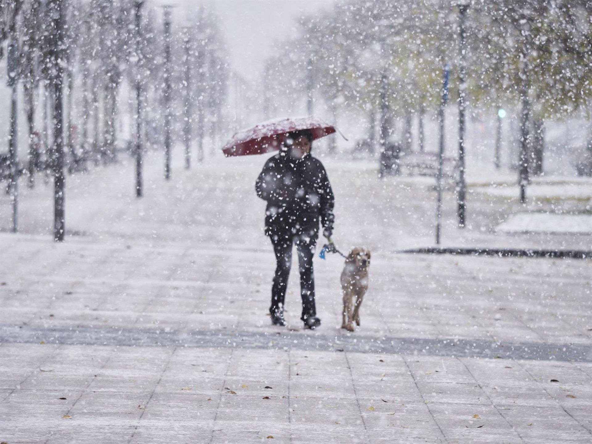 Un hombre camina con su perro ante la ola de frío en España