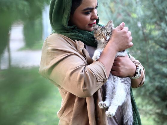 Ni perros ni gatos, Irán se plantea la prohibición de las mascotas por "impuras" y "peligrosas"