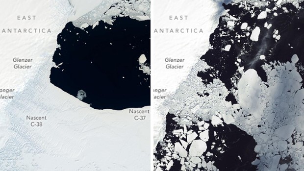 Una plataforma de hielo de más de 1.200 Km2 colapsa en la Antártida