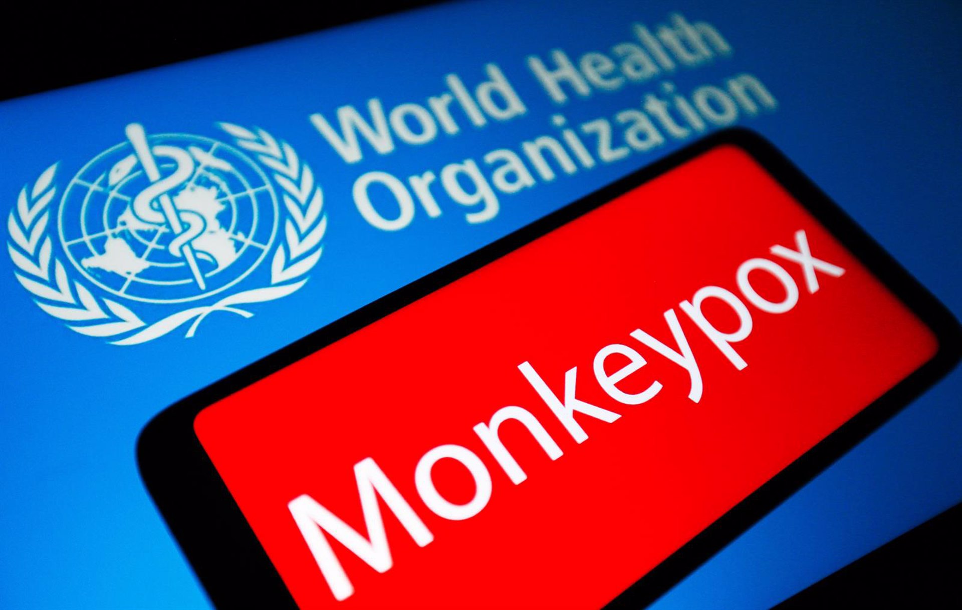 La OMS confirma 780 casos de viruela del mono en 27 países no endémicos
