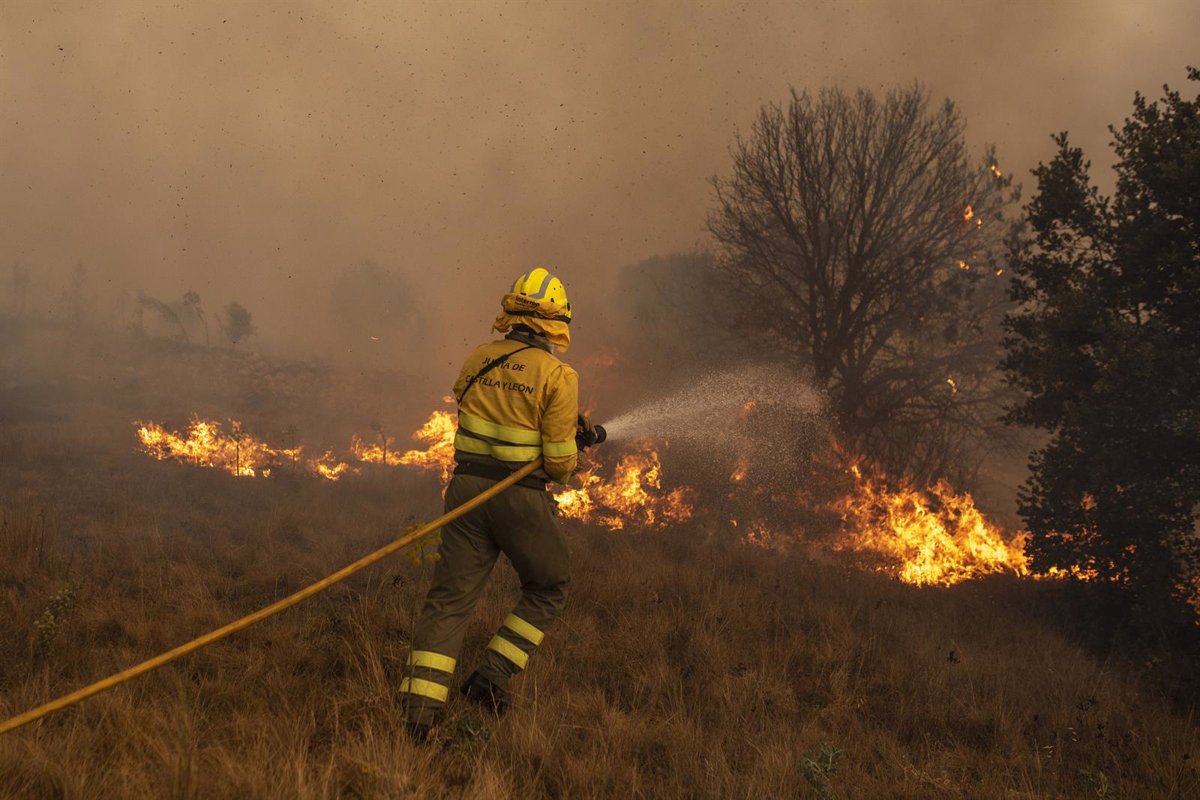 El incendio de Zamora, el peor de la historia de España: 30.000 hectáreas calcinadas