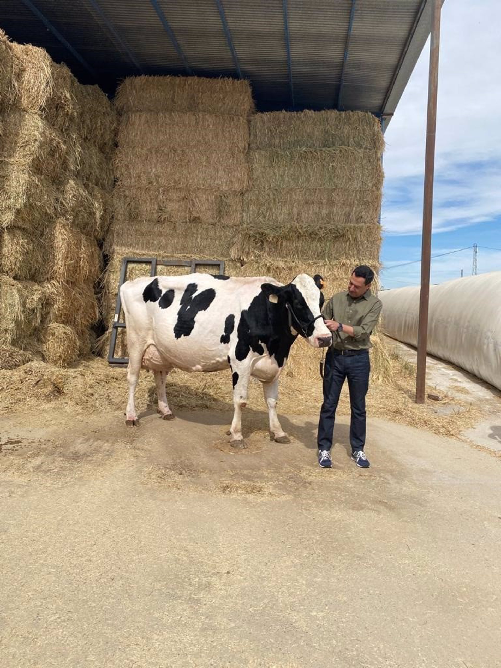 Moreno repite foto con su "amiga" la vaca Fadie: "Espero que me des la misma suerte que hace cuatro años"