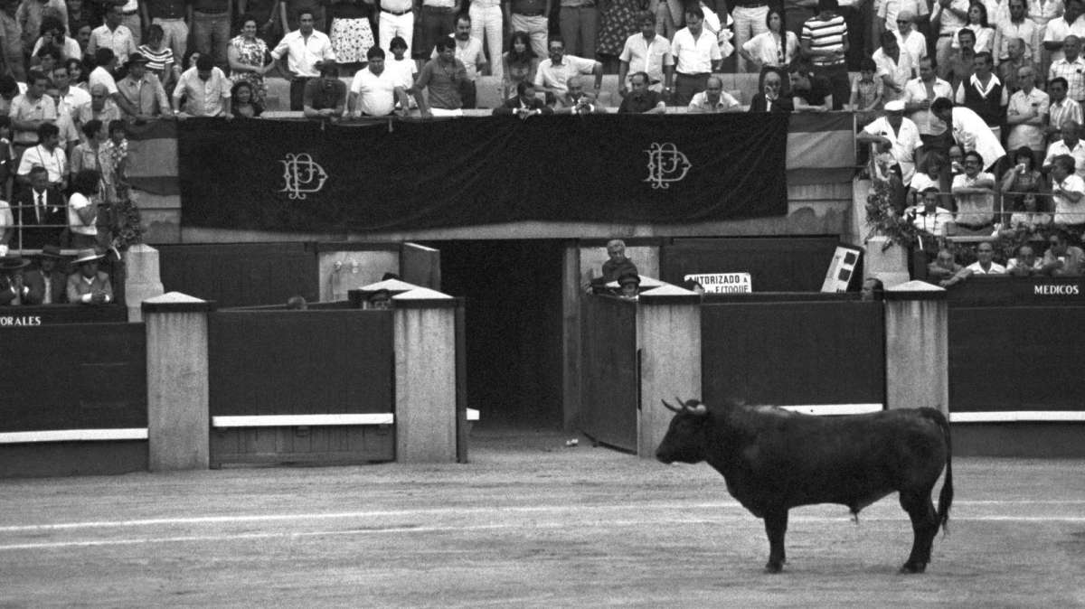Belador, el primero toro indultado en Las Ventas