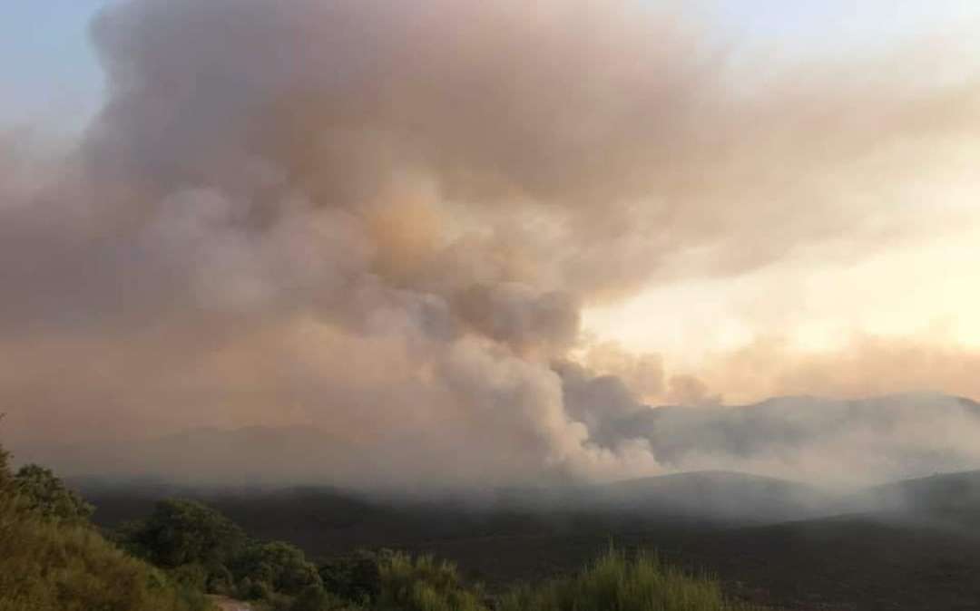 El incendio de Monfragüe amenaza a Jaraicejo
