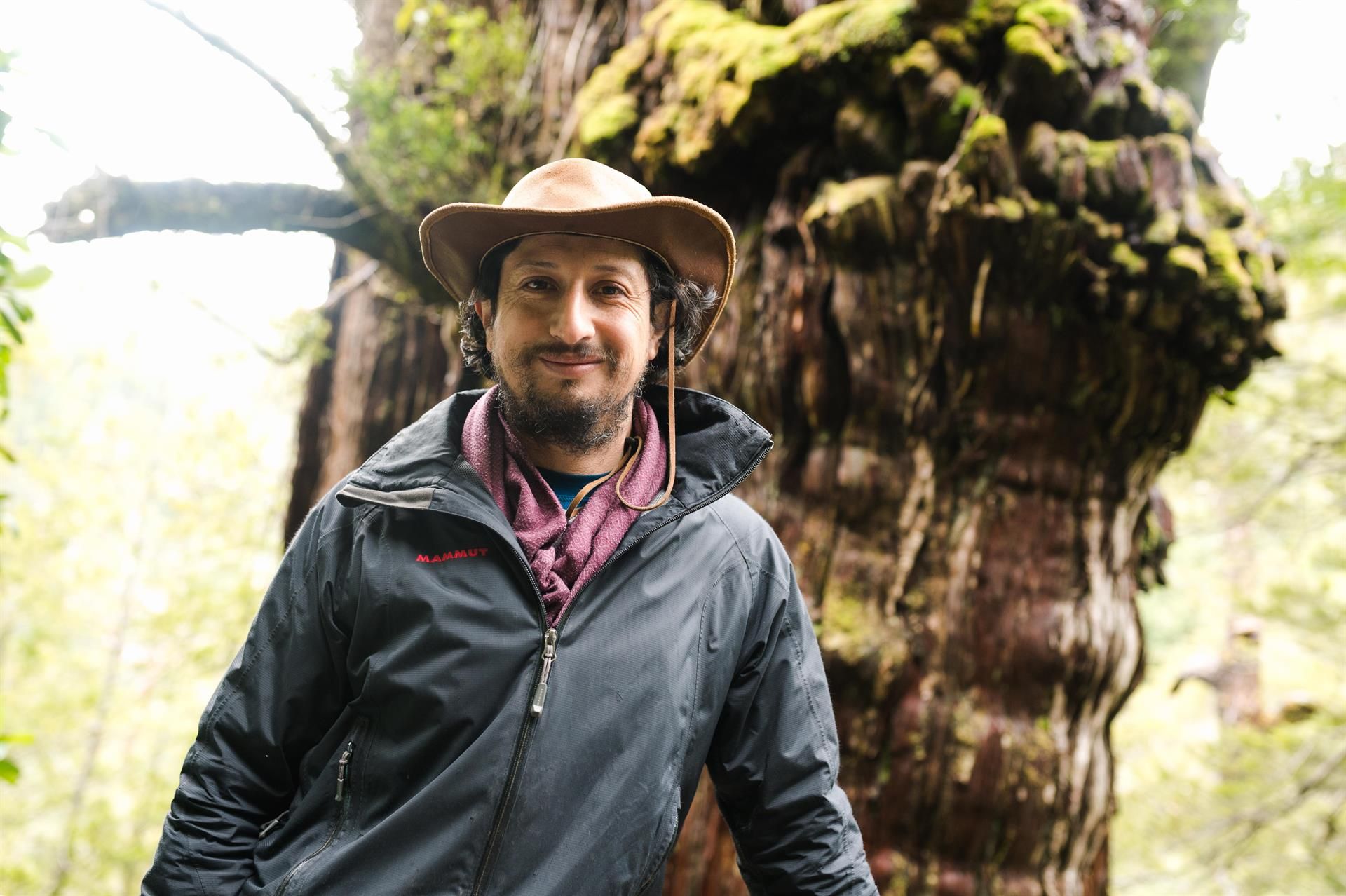 El científico Jonathan Barichivich junto al árbol Gran Abuelo, en el Parque Nacional Alerce Costero, en la región de Los Ríos (Chile).