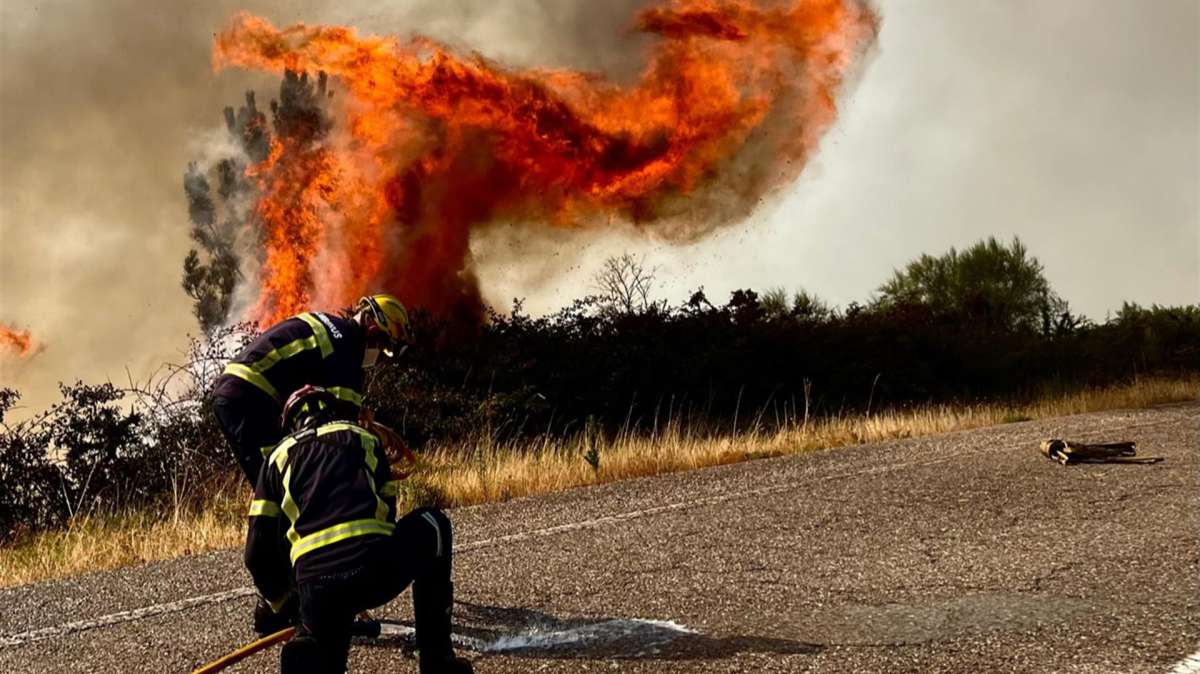 El fuego arrasó 267.939,64 hectáreas en 2022, el triple que el año anterior