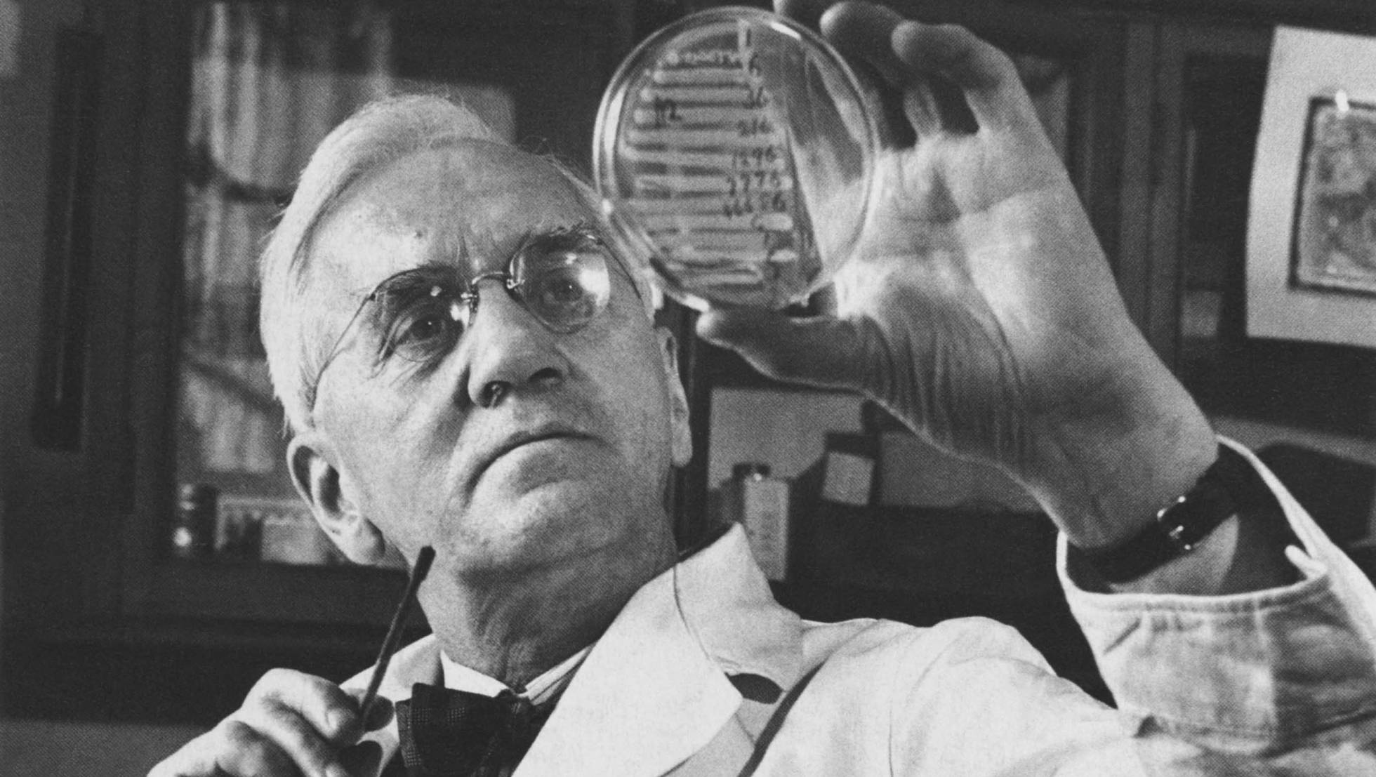Alexander Fleming, descubridor de la penicilina