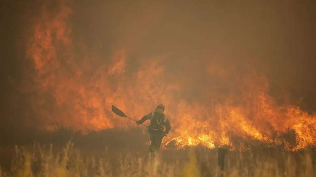 Incendio en la Sierra de la Culebra, en Zamora