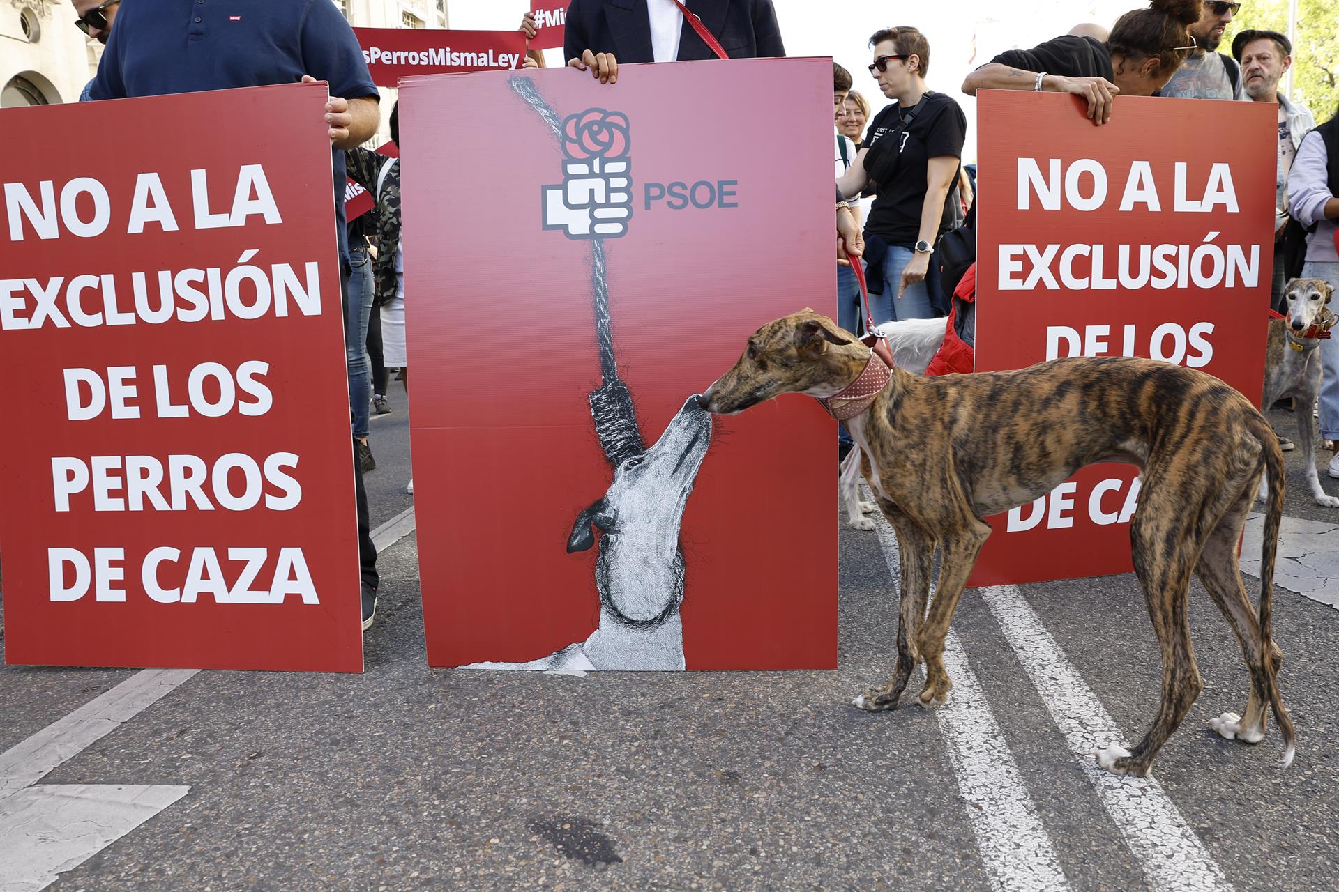 Asociaciones animalistas se manifiestan frente al Congreso para pedir al PSOE la retirada de la enmienda a la Ley de Protección Animal en la que pide excluir a los perros usados para cazar