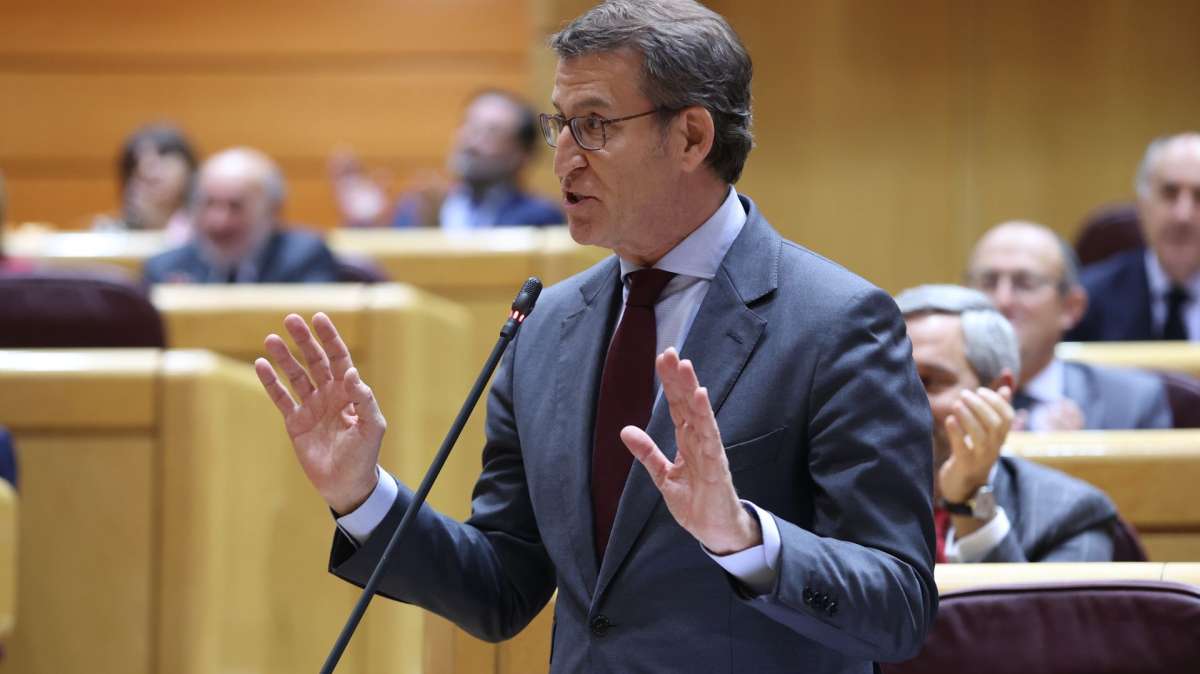 El líder del PP, Alberto Núñez Feijóo, interviene en el pleno del Senado en Madrid este martes.