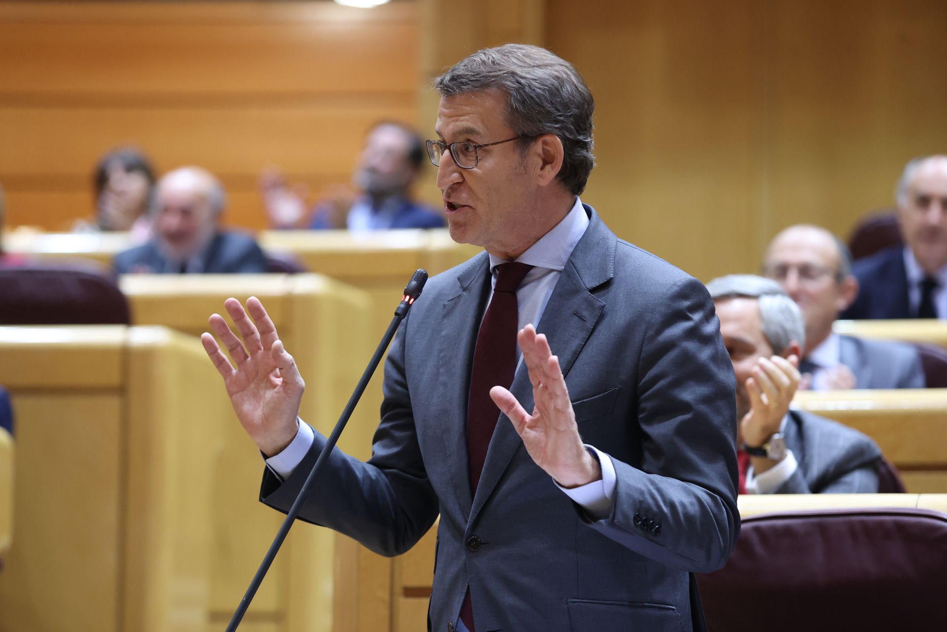 El líder del PP, Alberto Núñez Feijóo, interviene en el pleno del Senado en Madrid este martes.