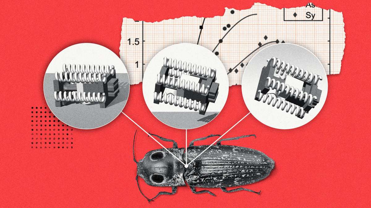 Robots saltarines inspirados en escarabajos para realizar tareas en espacios reducidos