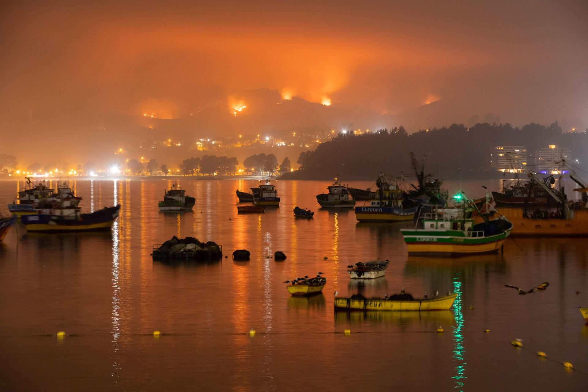 Fotografía de un sector afectado por los incendios hoy, en alto de Menque, en la comuna de Tomé, región del Biobío, en Tomé, Chile.