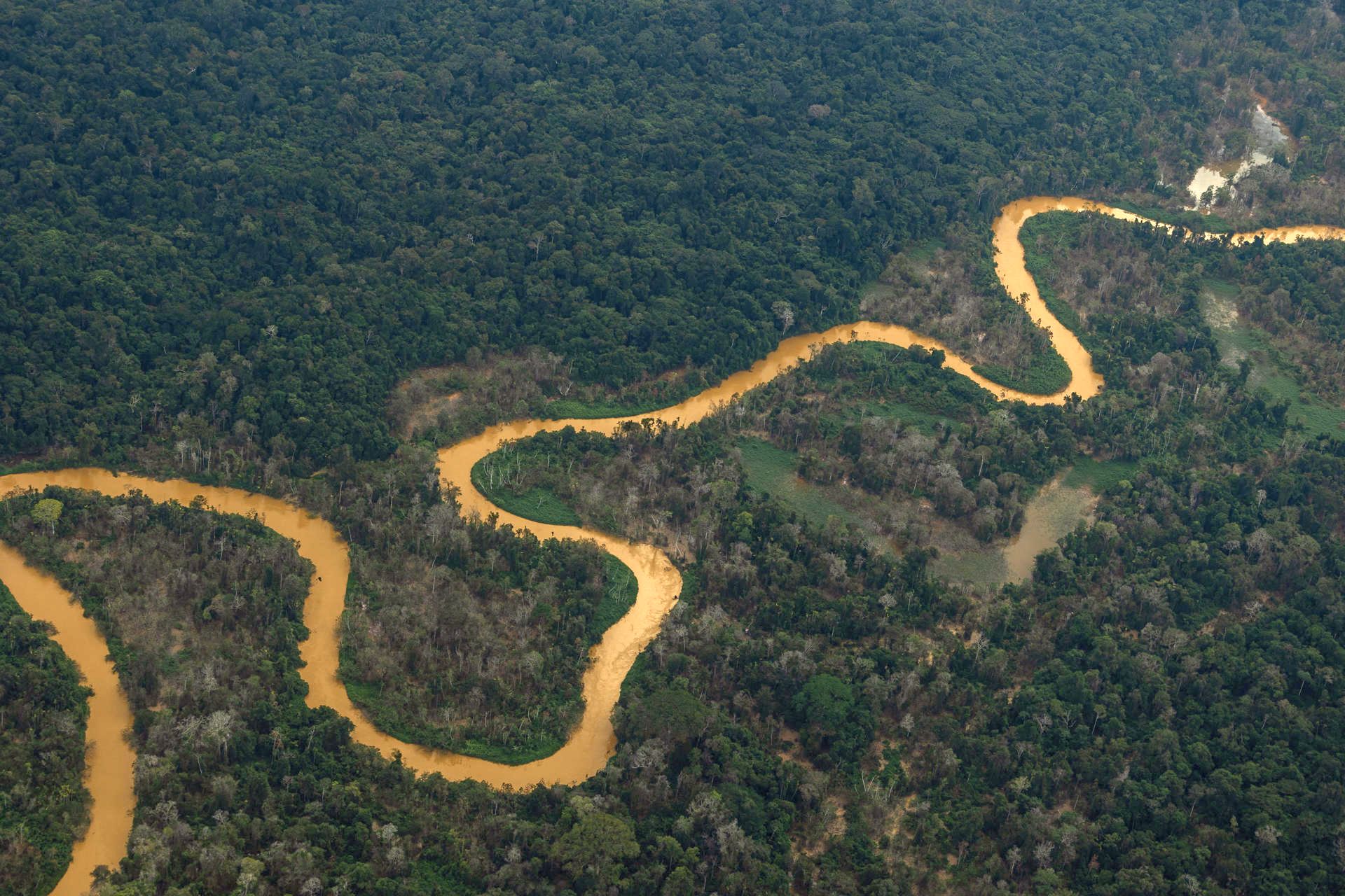 Fotografía del río Mucajaí, con un color escuro, debido a la presencia de minería ilegal