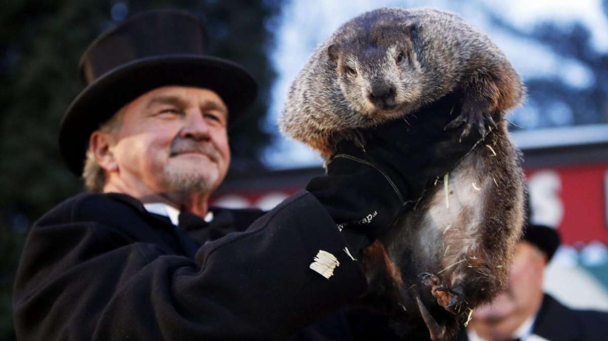 La marmota Phil ya tiene su 'predicción' para el final del invierno