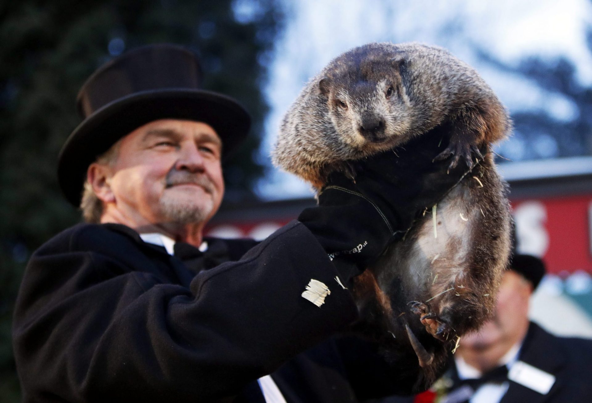 La marmota Phil predice seis semanas más de invierno en EEUU.