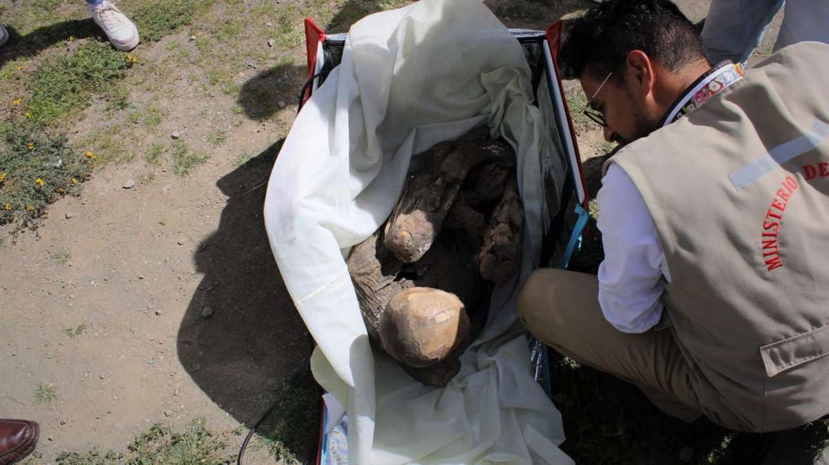 Hallan una momia prehispánica, de entre 600 y 800 años, en la mochila de un repartidor a domicilio en Perú