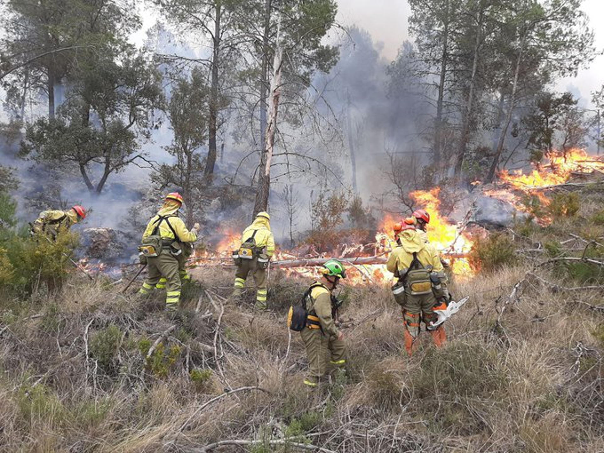 El incendio de Castellón sigue sin control y avanzando con una gran voracidad