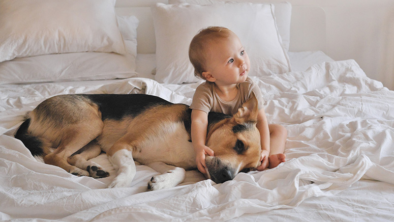 Cuándo puede convivir un bebé con un perro