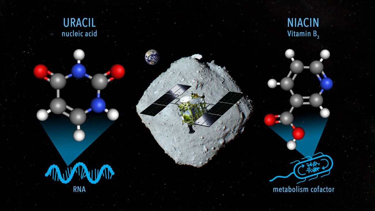 El asteroide Ryugu contiene uracilo y niacina. NASA