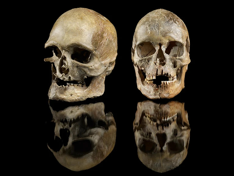 Estos cráneos de 14.000 años de antigüedad fueron encontrados en el oeste de Alemania. Su ascendencia genética sugiere que las poblaciones humanas migraron en respuesta al clima cambiante de Europa.