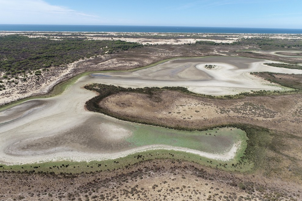 La laguna de Santa Olalla, en Doñana, en una imagen tomada en agosto de 2022.