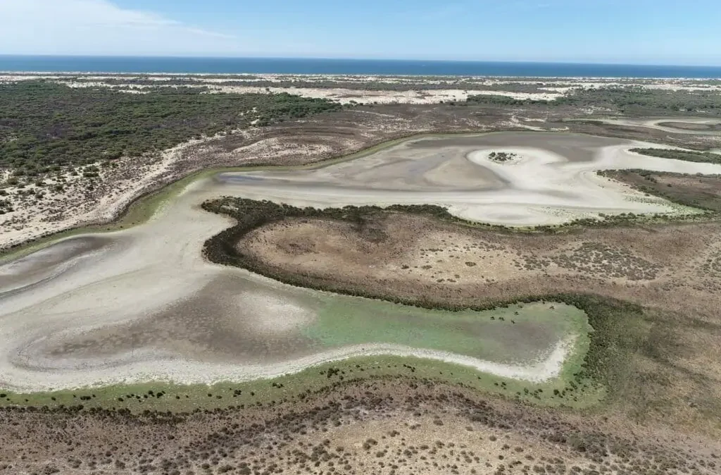 Vista aérea de la laguna permanente de Santa Olalla, en Doñana, seca por completo.