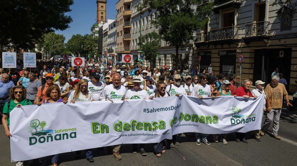 Unos dos millares de manifestantes convocados por la plataforma 'Salvemos Doñana' han marchado hasta el Parlamento de Andalucía en Sevilla.