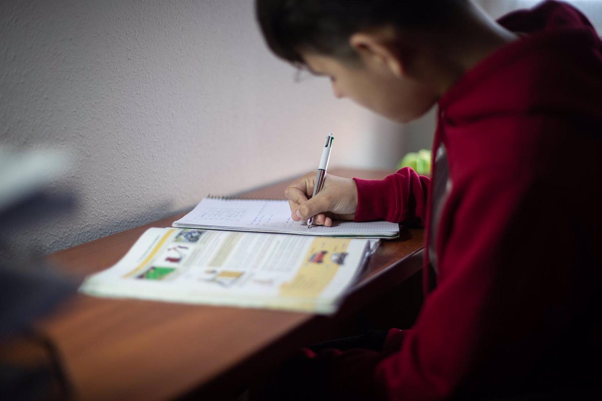 Un niño realiza sus deberes en su habitación