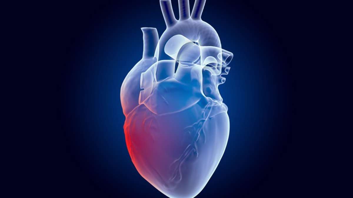 La IA puede detectar la enfermedad cardiaca valvular con precisión