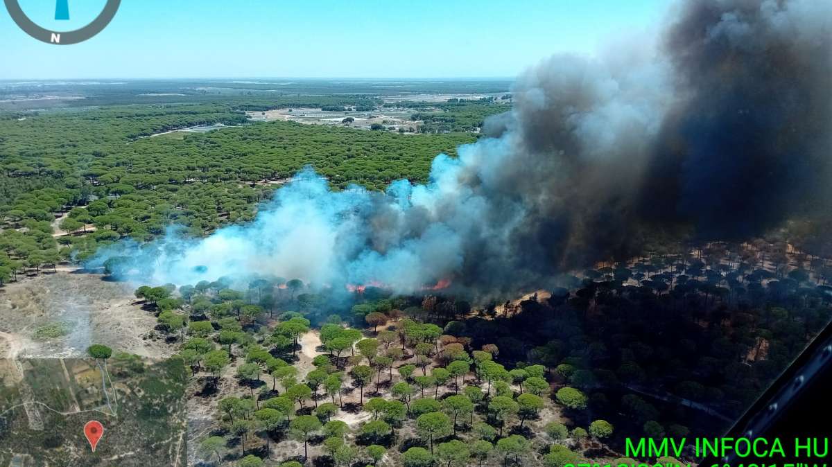 Un incendio forestal de nivel 1 obliga a desalojar a vecinos de Bonares, Huelva