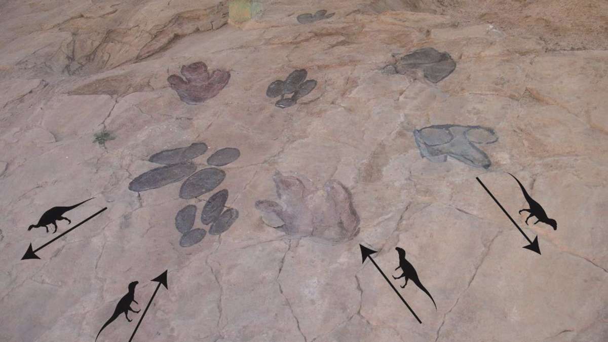 Huellas de dinosarios halladas en el yacimiento de Galve.