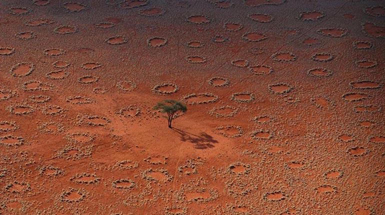 Imagen de círculos de hadas en un desierto.