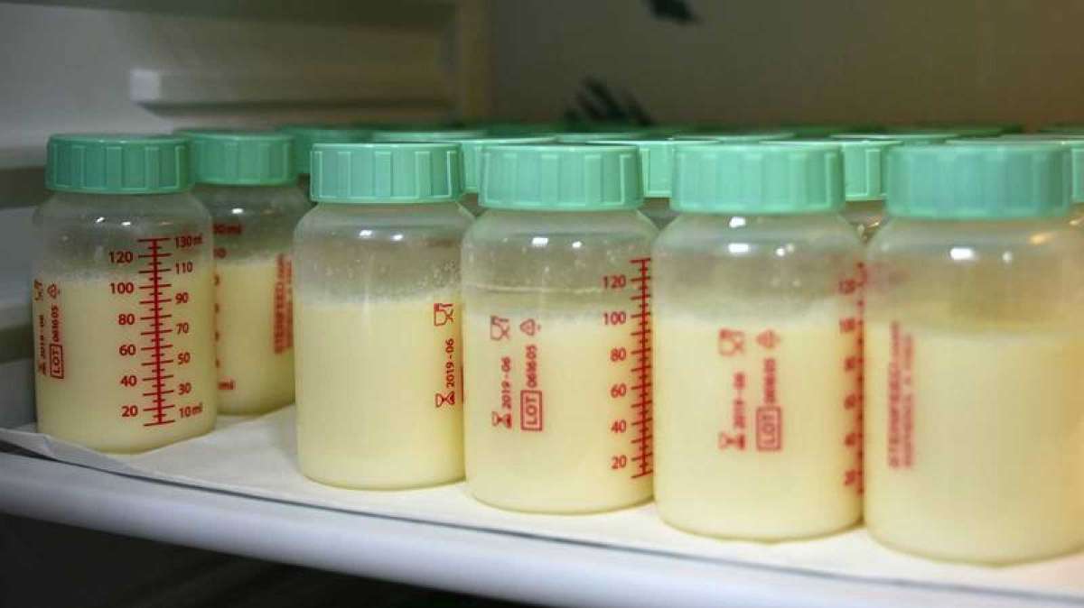 Imagen de un lote de frascos de leche materna.