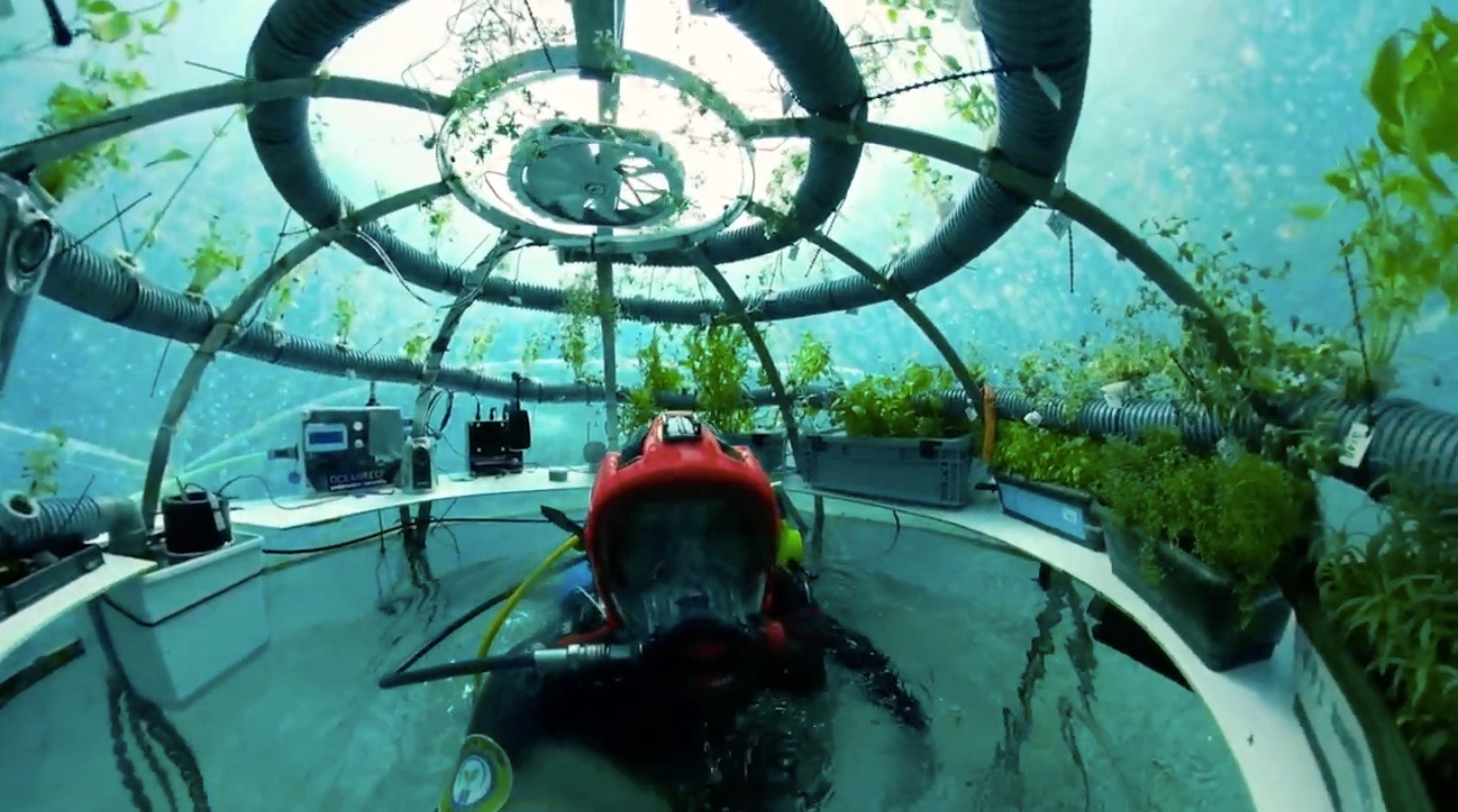 Interior de una de las biosferas del Jardín de Nemo.