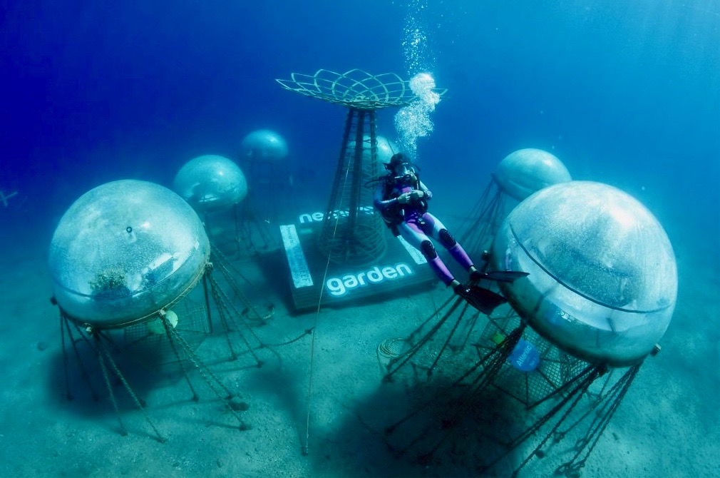 Vista del jardín de Nemo, la primera granja submarina del mundo.