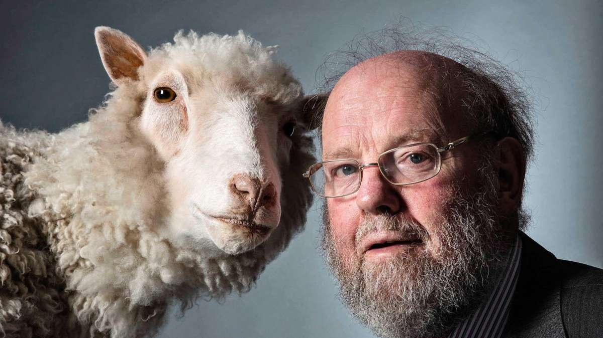 Muere Ian Wilmut, el creador del clon de la oveja Dolly