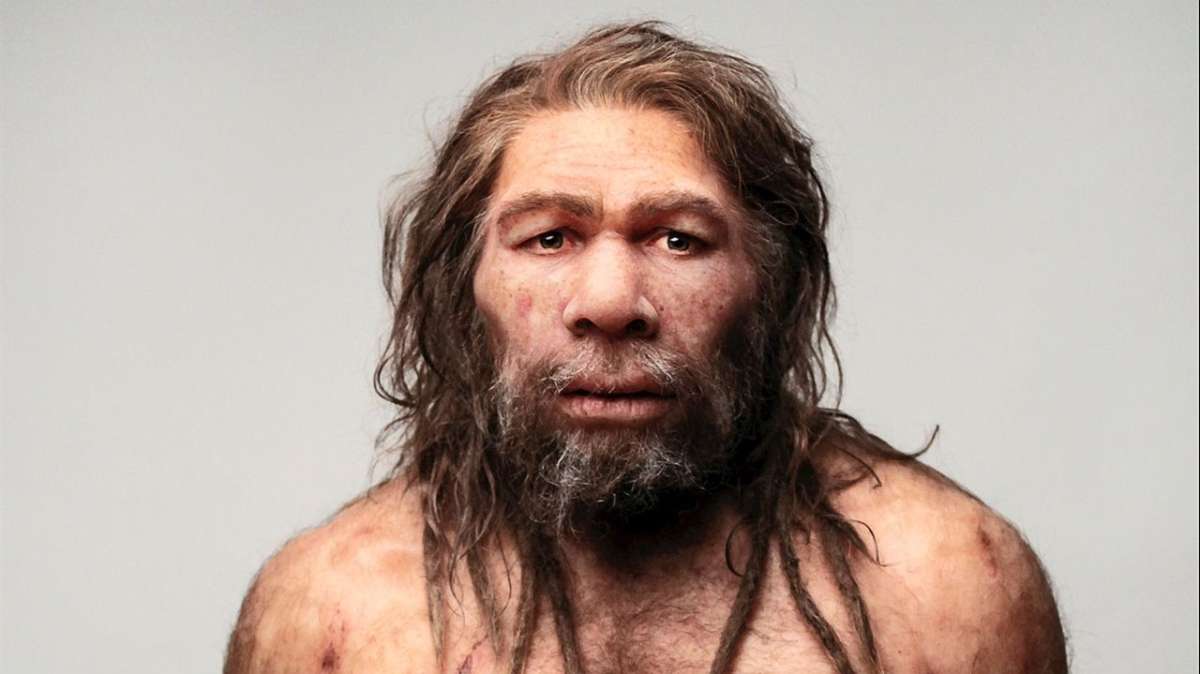 Reconstrucción de la imagen de un hombre del Neandertal.